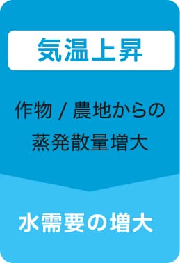 ・気温上昇　・作物/農地からの蒸発散量増大　・水需要の増大