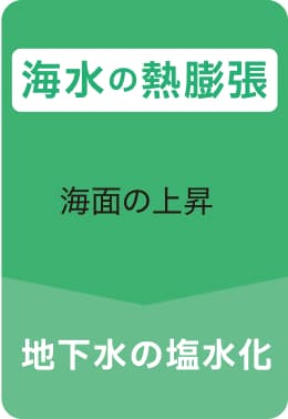 ・海水の熱膨張　・海面の上昇　・地下水の塩水化